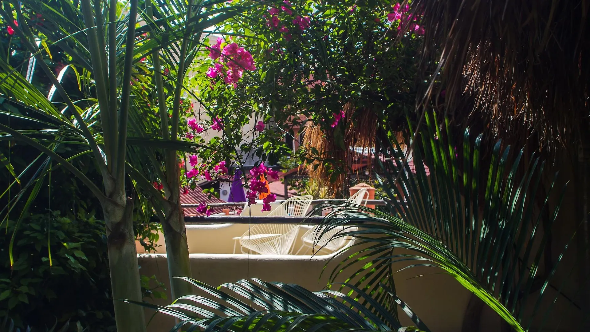 Hotel Kinbe - Few Steps From 5Th Avenue And The Beach Playa del Carmen Mexico