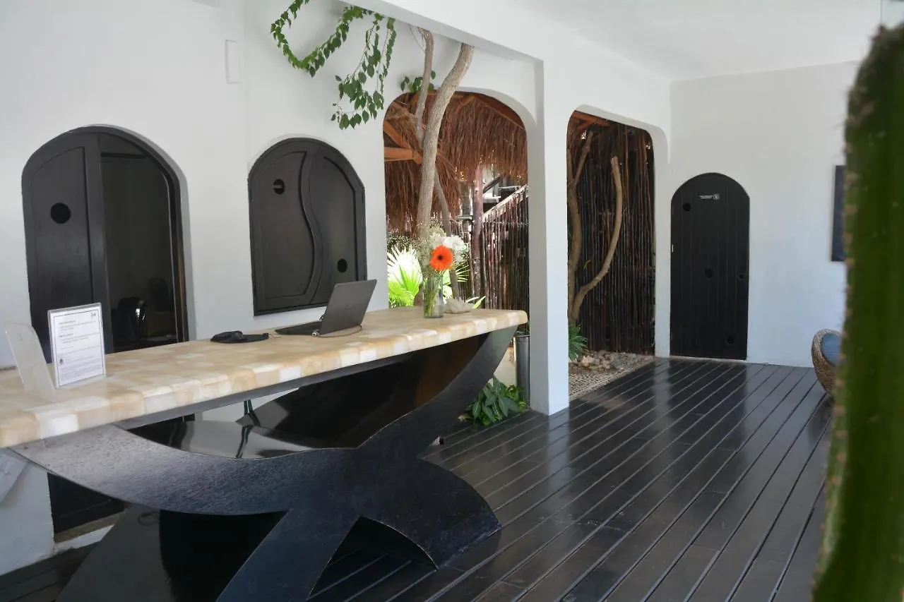 ****  Hotel Kinbe - Few Steps From 5Th Avenue And The Beach Playa del Carmen México