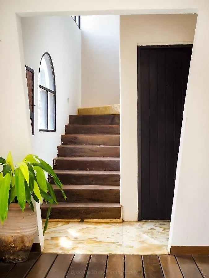 Hotel Kinbe - Few Steps From 5Th Avenue And The Beach Playa del Carmen