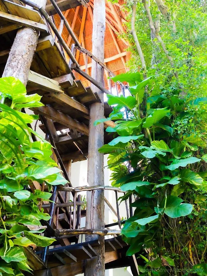 Hotel Kinbe - Few Steps From 5Th Avenue And The Beach Playa del Carmen
