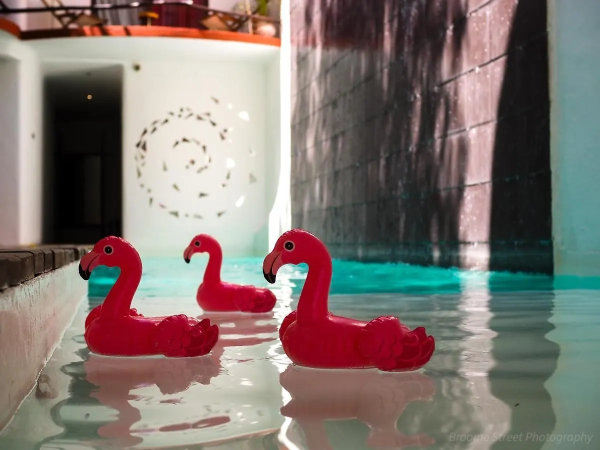 Hotel Kinbe - Few Steps From 5Th Avenue And The Beach Playa del Carmen