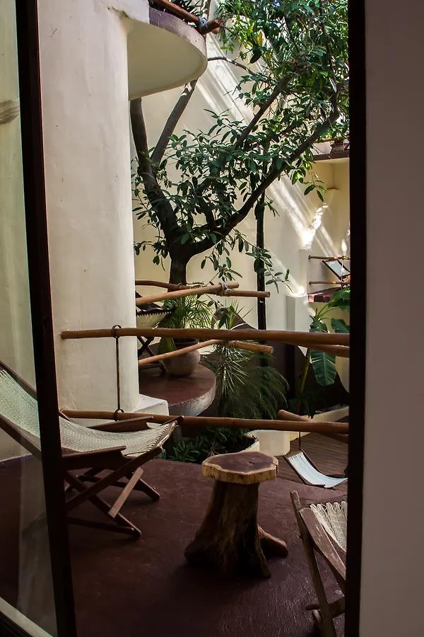 Hotel Kinbe - Few Steps From 5Th Avenue And The Beach Playa del Carmen 4*,