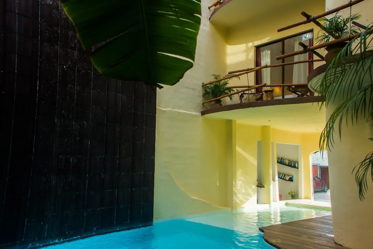 Hotel Kinbe - Few Steps From 5Th Avenue And The Beach Playa del Carmen